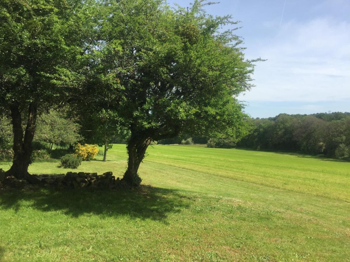 Gite Au Calme 2 A 6 Personnes Dans Un Paysage Totalement Paisible -Plages A 22 Min- Quite Cottage 2 To 6 Persons In Total Peaceful Landscape -Beaches At 22 Min- Landévant Екстериор снимка